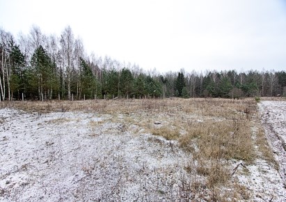 działka na sprzedaż - Płaska, Mołowiste
